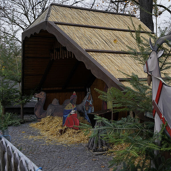 Heimatverein Kirchheim Weihnachts Krippe erneuert 2022